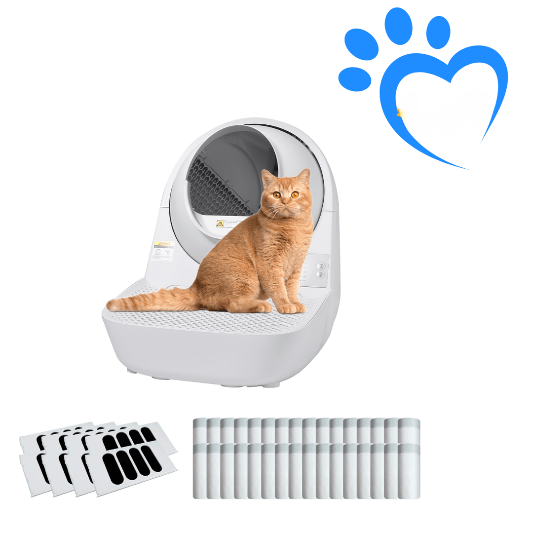 Young Self-Cleaning Litter Box
